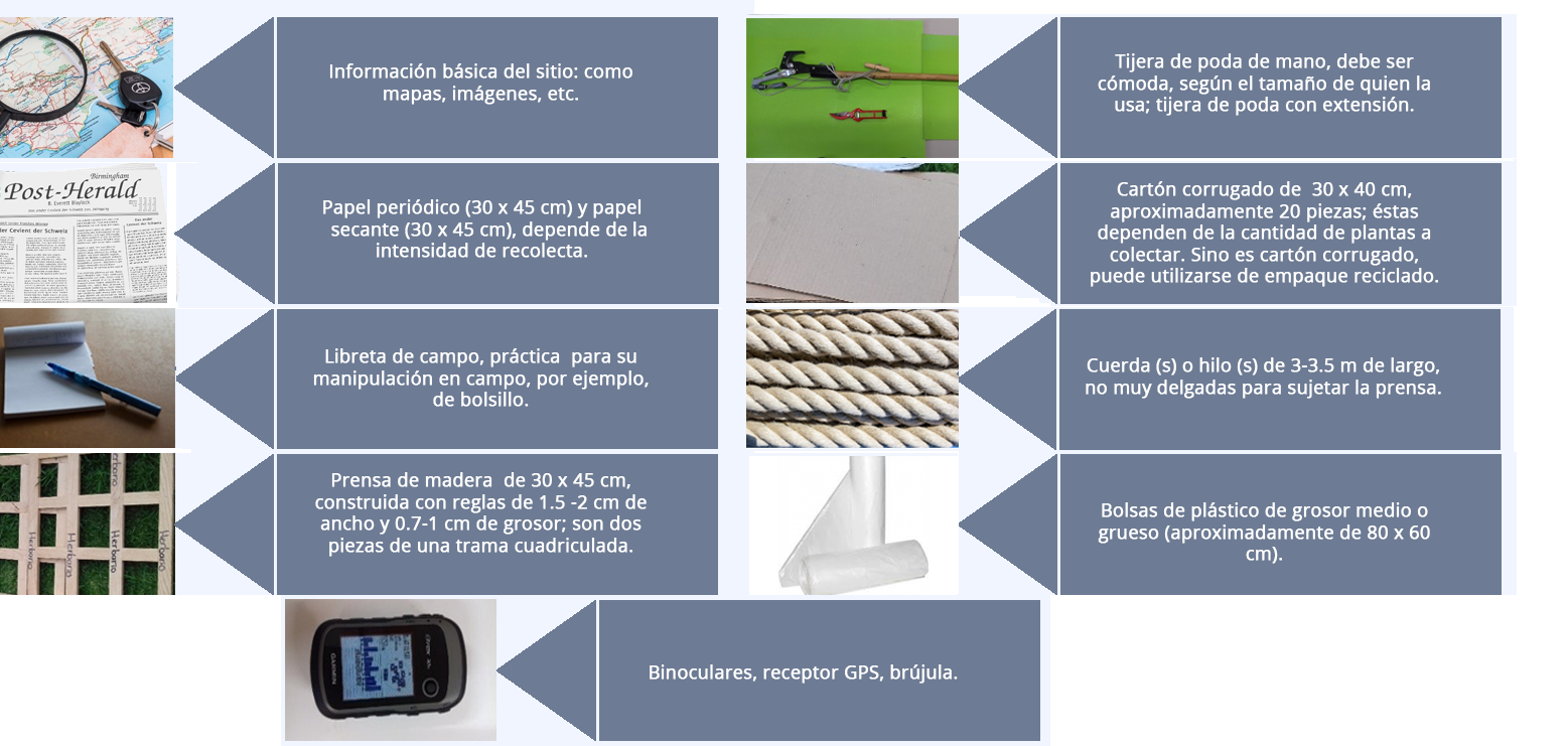 Esquema que muestra la lista de materiales básicos para la recolecta en campo