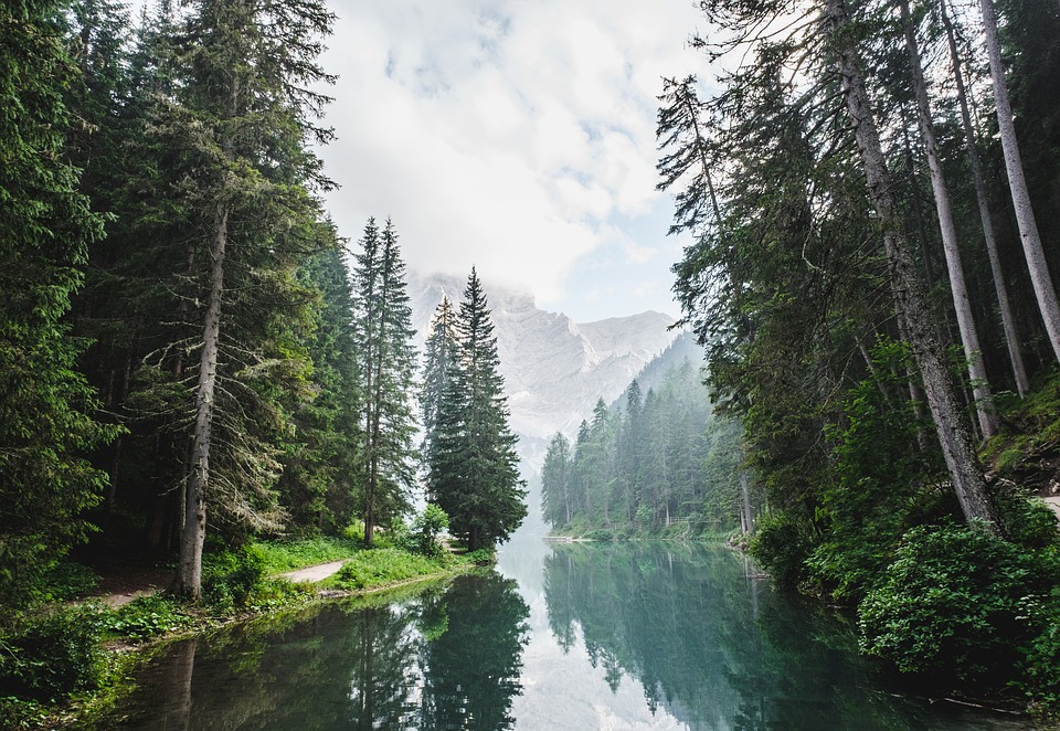 Fotografía de un río entre árboles