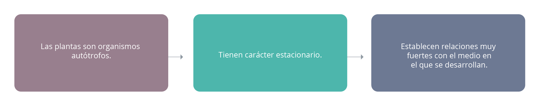 Esquema que muestra las características inherentes a las plantas