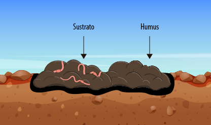 Ilustración de la tierra