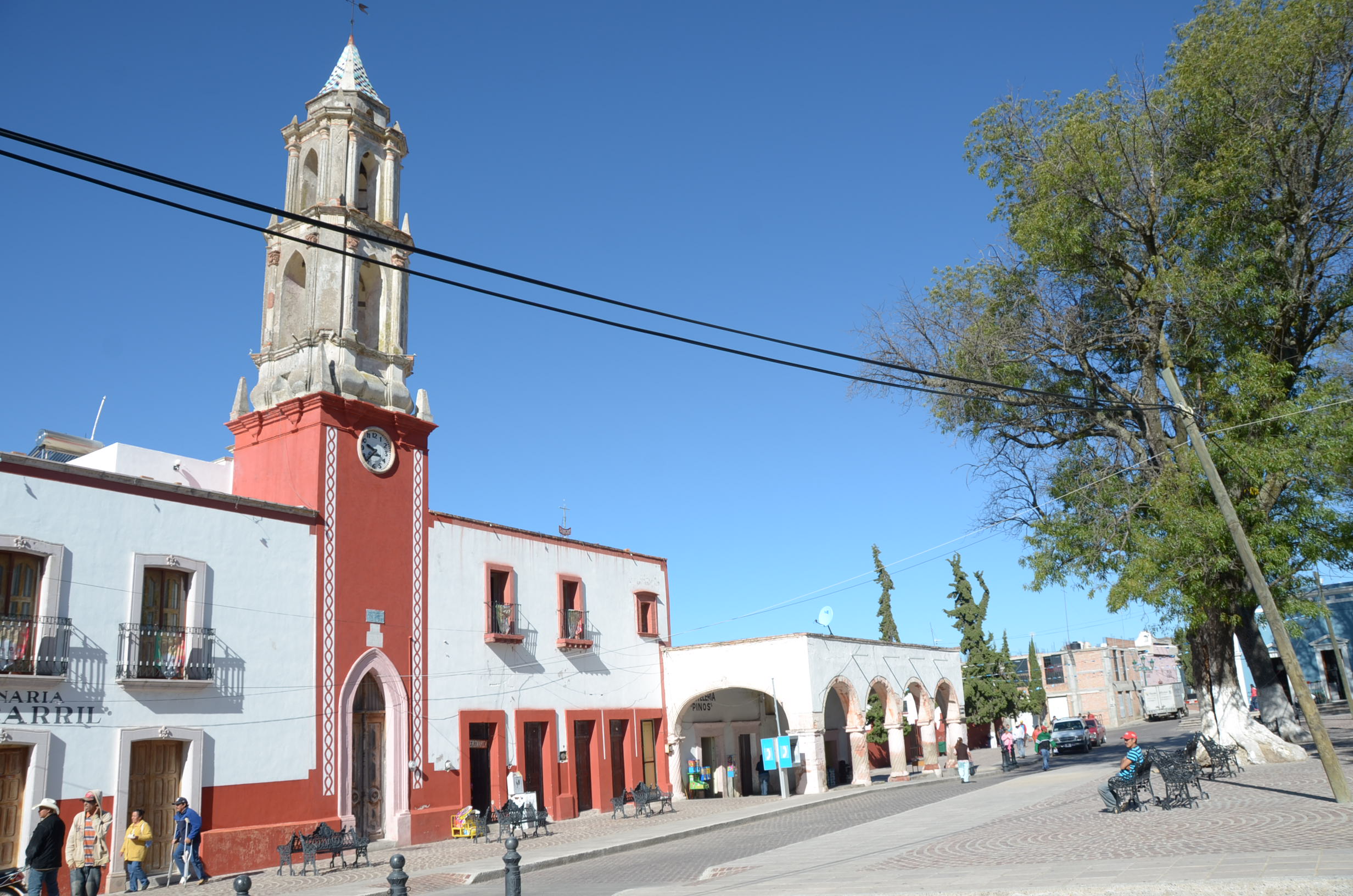 Fotografía en que se aprecia una zona de protección en Pinos, Zacatecas 