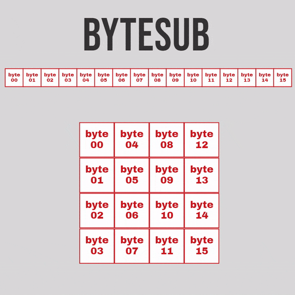 Operación ByteSub 
