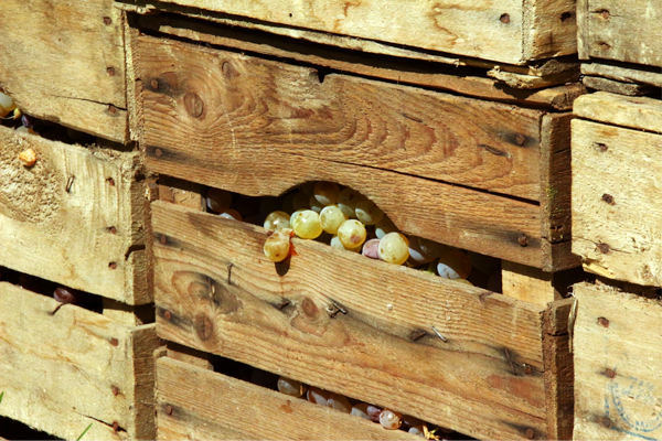 Caja de madera con uvas.