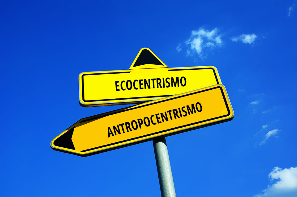 Señalización vial con dos flechas amarillas que apuntan hacia diferentes direcciones: “Ecocentrismo”, a la izquierda; y “Antropocentrismo”, hacia la continuación del camino.