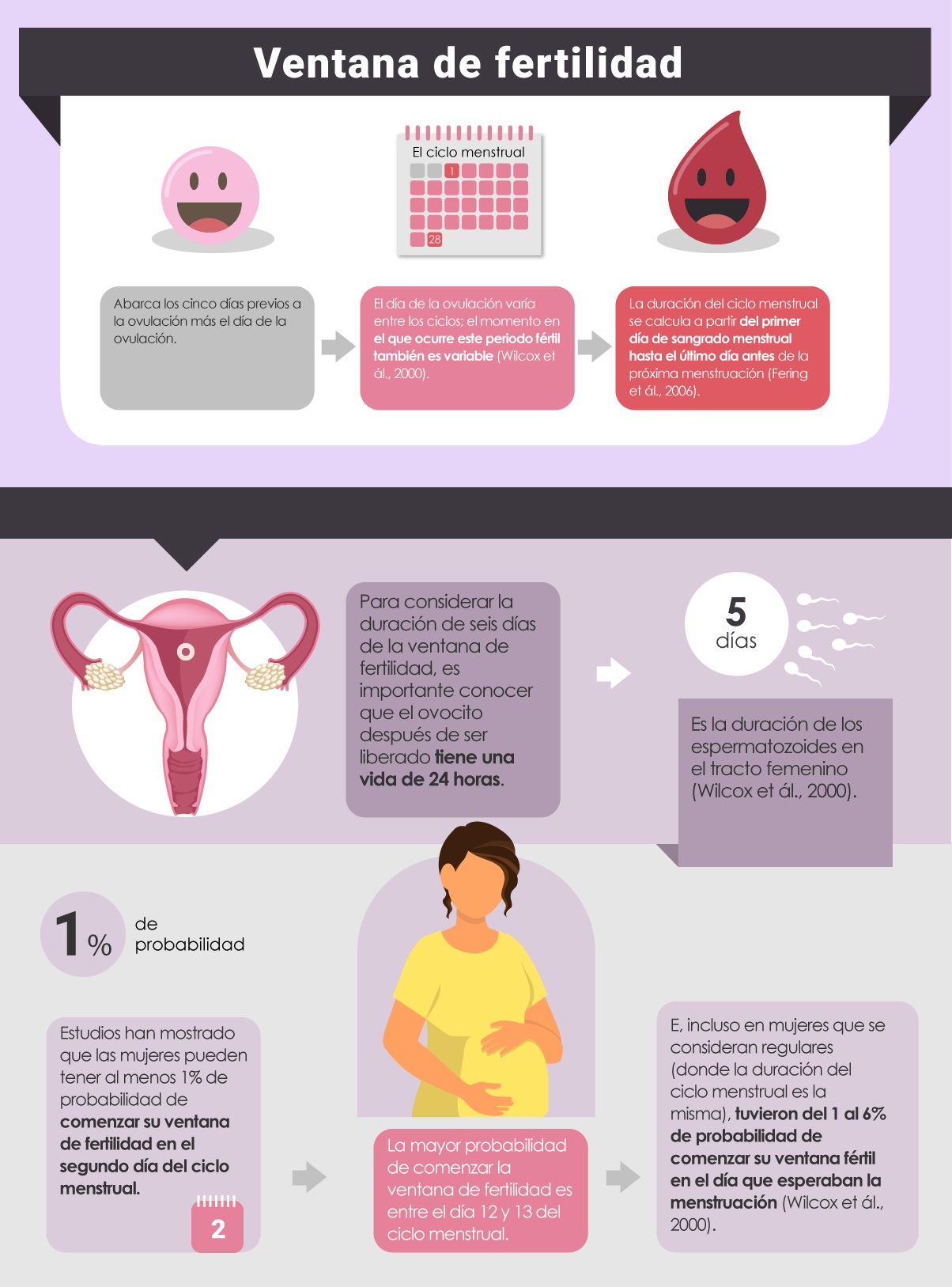 Infografía que muestra la ventana de fertilidad de las mujeres. 