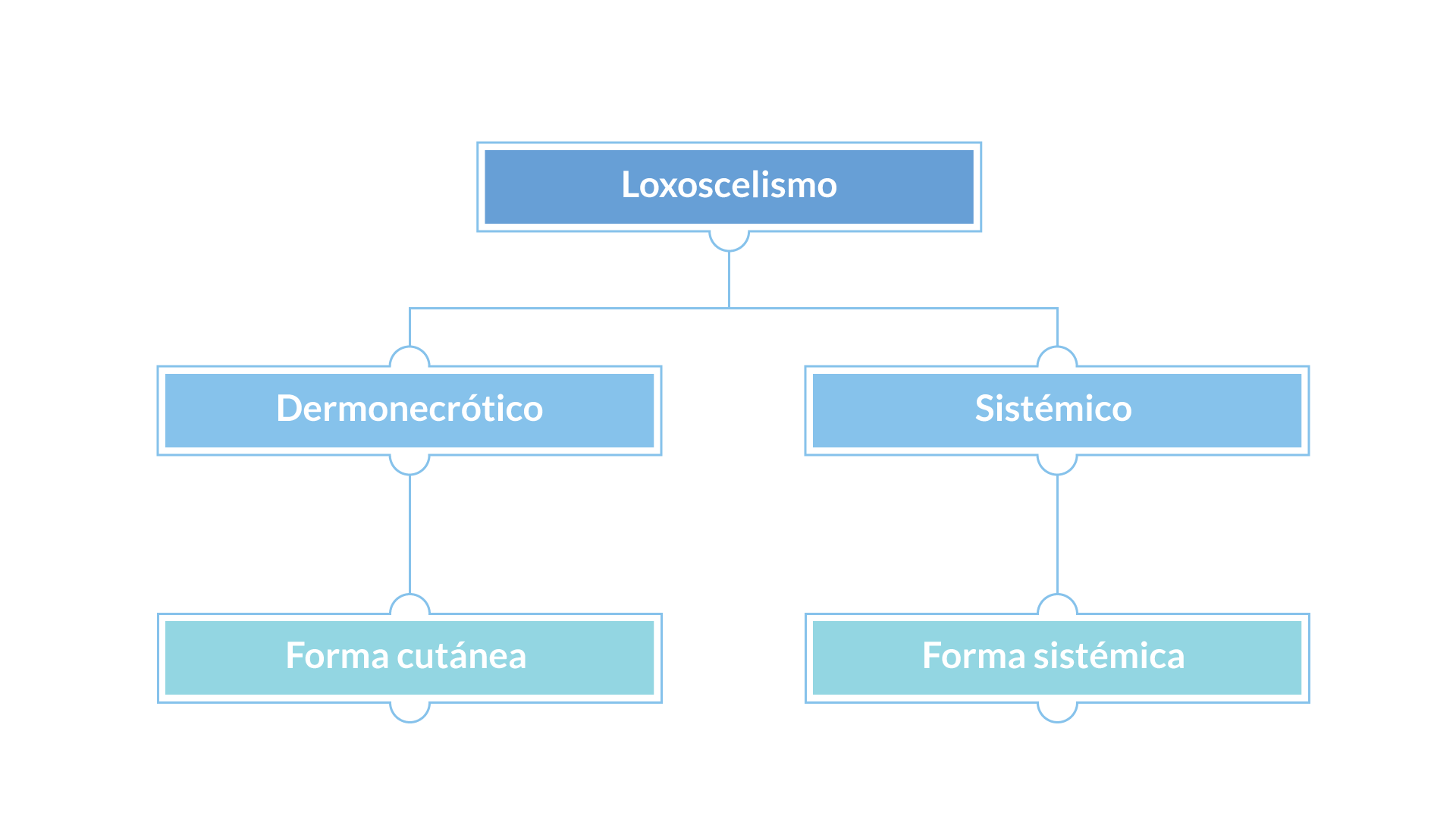 Esquema con tipos de loxoscelismo: dermonecrótico y sistémico.