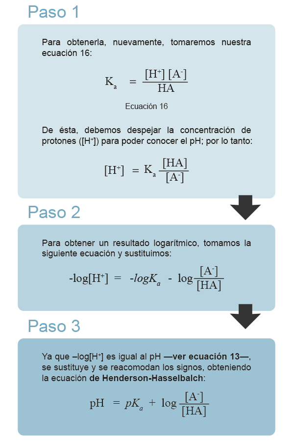 Pasos que muestran cómo resolver la ecuación de Henderson-Hasselbalch.