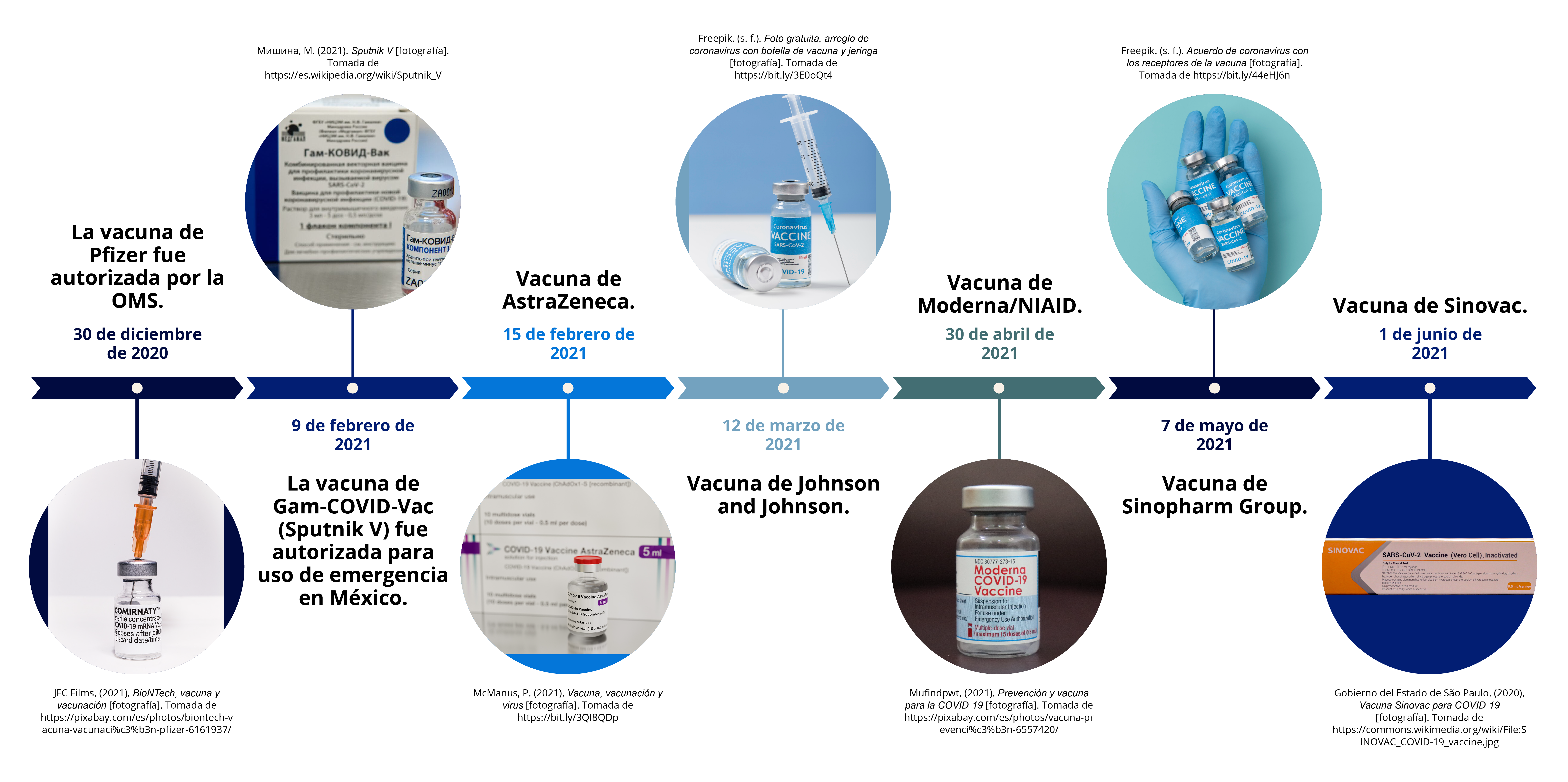 Aprobación de los diferentes tipos de vacunas contra SARS-CoV-2 a lo largo de la pandemia de COVID-19