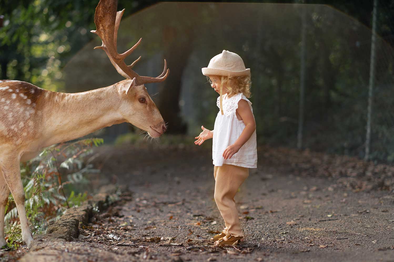 Fotografía de venado en entorno natural de frente a una niña.