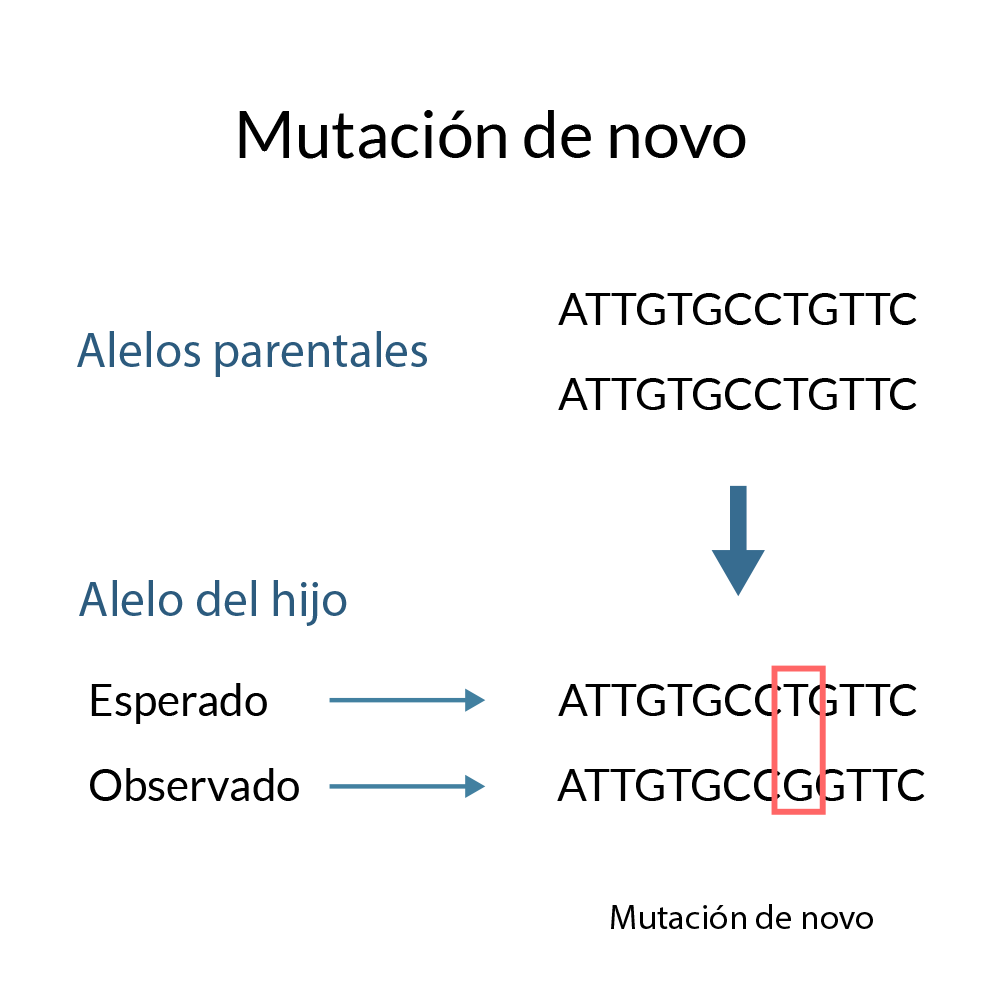 Mutaciones en DNA