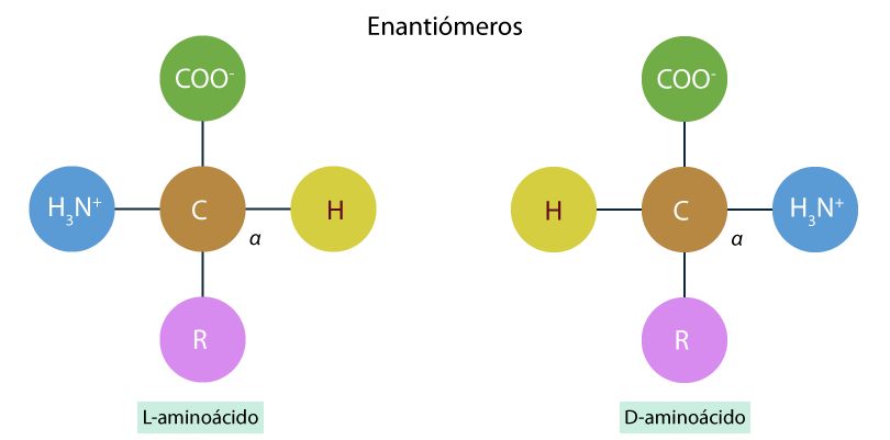 Estructura de los enantiómeros.