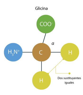 Ilustración que muestra la estructura de la glicina.