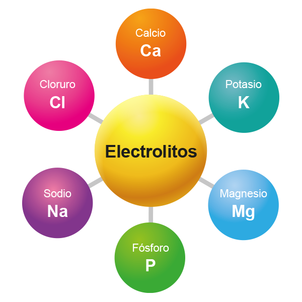 Esquema que muestra los electrolitos: calcio, potasio, magnesio, fósforo, sodio y cloruro.