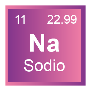 Esquema que muestra los electrolitos: calcio, potasio, magnesio, fósforo, sodio y cloruro.