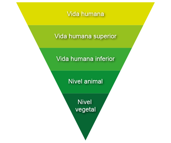 Esquema que muestra los niveles de vida de la persona humana.