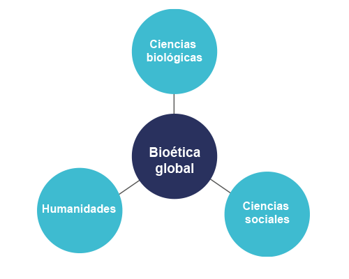 Esquema que muestra la bioética global como puente entre las ciencias biológicas, las humanidades y las ciencias sociales. 