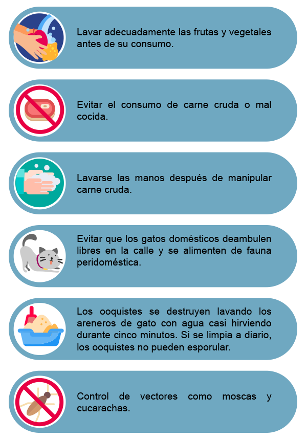 Ilustración que muestra medidas preventivas. 