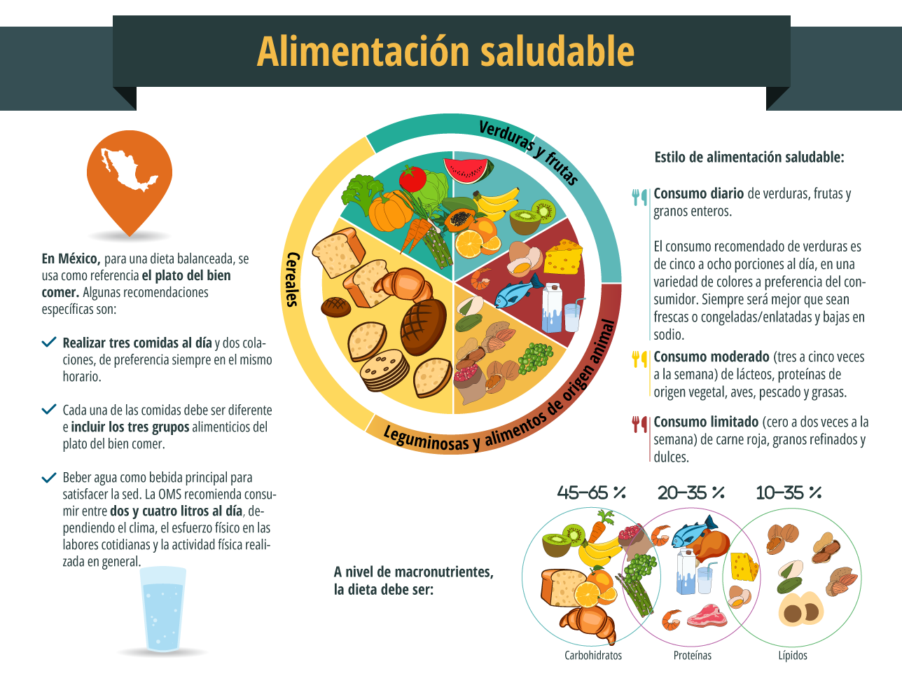 Infografía que tiene como imagen central al plato del bien comer y que resume el número de comidas al día, los alimentos saludables y sus porciones, el consumo de agua adecuado y la distribución correcta de macronutrientes en la dieta.