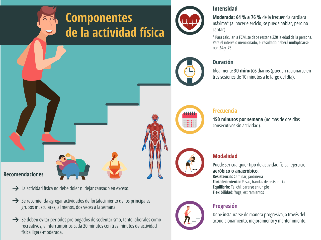 Infografía que resume los cinco componentes del ejercicio: intensidad, duración, frecuencia, modalidad y progresión; además, incluye recomendaciones sobre la actividad física en exceso, los ejercicios de fuerza muscular y la reducción del sedentarismo.