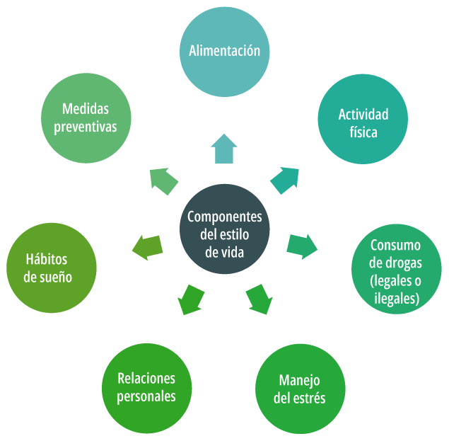 Esquema radial que muestra siete componentes del estilo de vida tratados en esta UAPA.