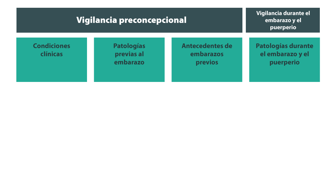 Vigilancia preconcepcional