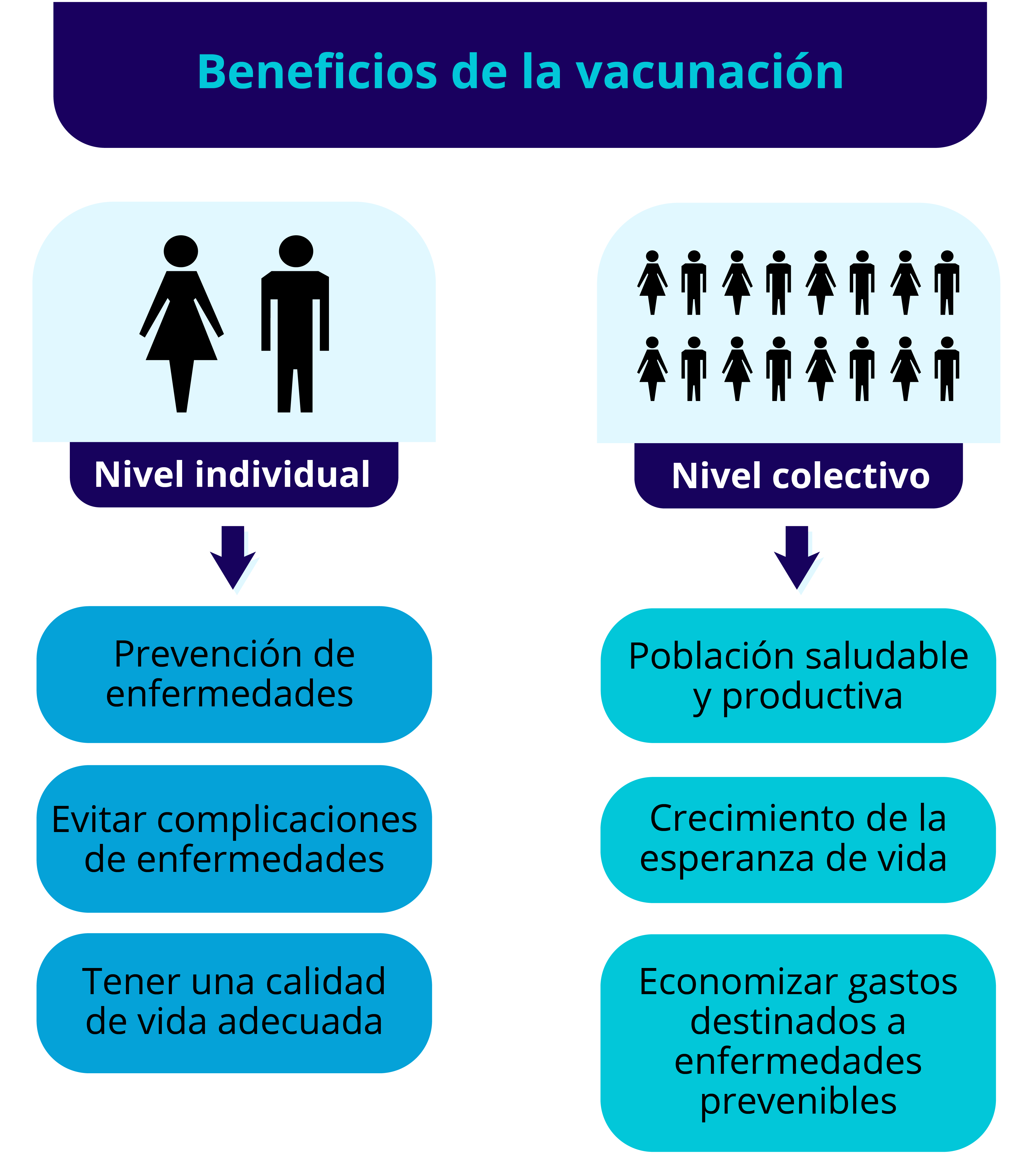 Infografía que muestra los beneficios de las vacunas a nivel individual y colectivo.