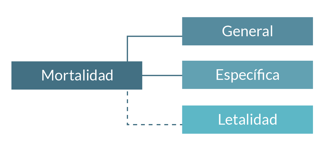 Medidas de mortalidad: general, específica y letalidad.