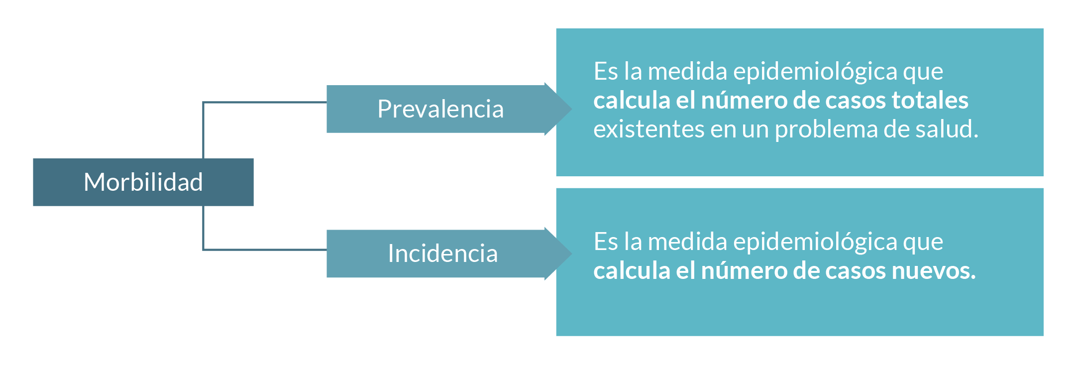 Esquema con medidas de morbilidad: prevalencia e incidencia.