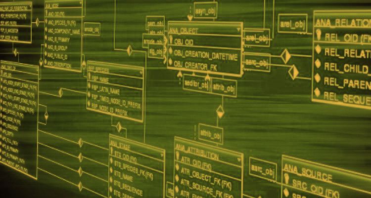 Bases de datos