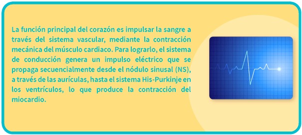 Explicación del sistema de conducción del corazón