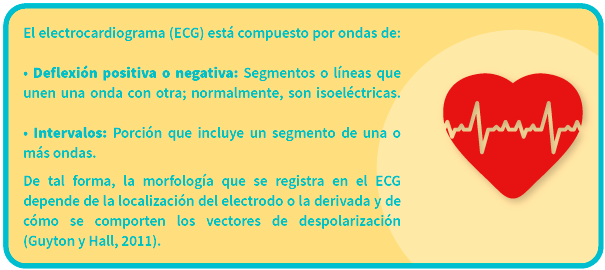 Descripción de las ondas en el electrocardiograma